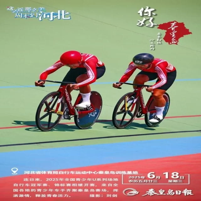 乒乓球冠军竞争格局的背后数据解析与启示