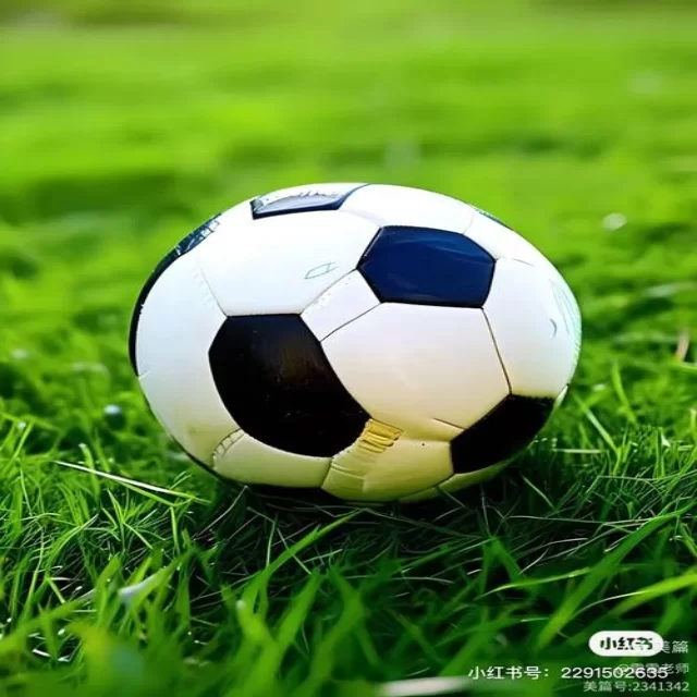 覃海洋备战选拔赛展现积极状态